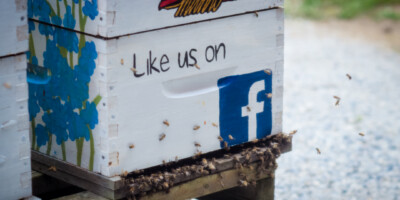 Munro honey bee hive