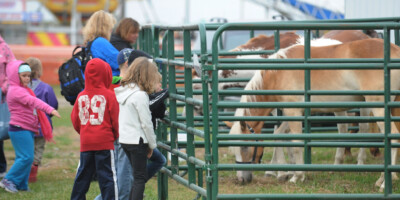 Group of children looking at ponies at the Brigden Fair