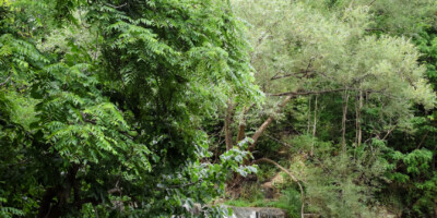 waterfall, Rockglen Arkona