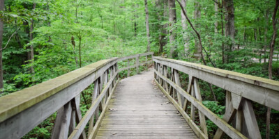 wooden path, Rockglen Arkona