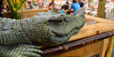 Gator statue at growling gator restaurant grand bend