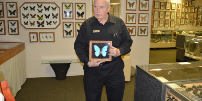 Owner of Stones & Bones doing a presentation about a Morpho butterfly