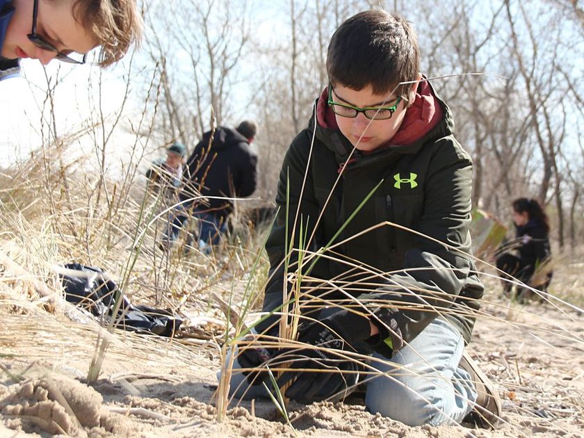Dune grass planting part of parks cleanup day