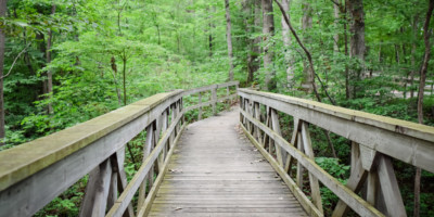 wooden path, Rockglen Arkona