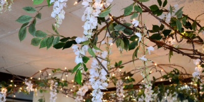 Pine Dale Motel Room