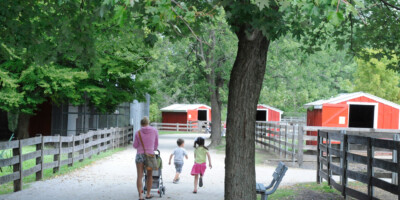 Children's Farm at Canatara Park