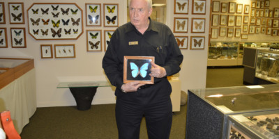 Owner of Stones & Bones doing a presentation about a Morpho butterfly